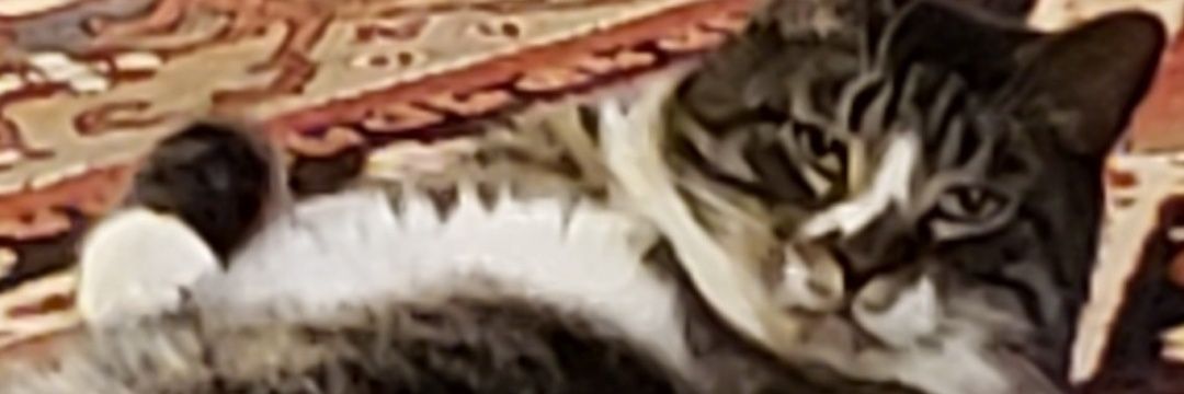 amdesq1's profile banner image