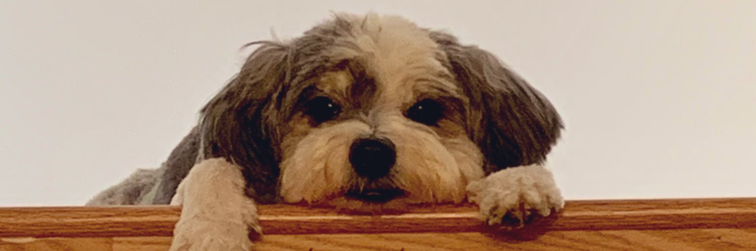 JoshuaColinMD's profile banner image