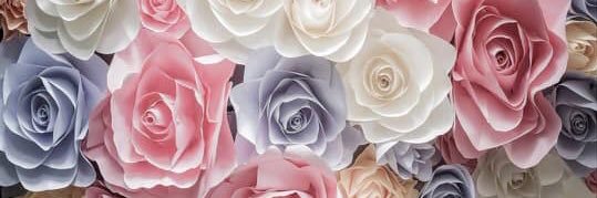 danielaeli1419's profile banner image
