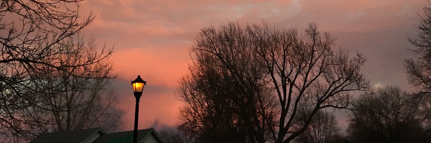 Avery Sawchuk banner