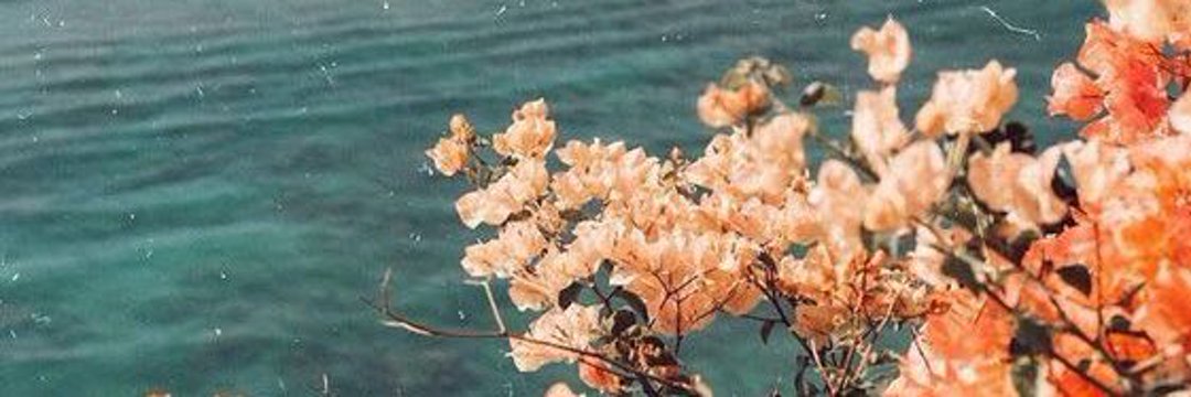 basurto_monse's profile banner image