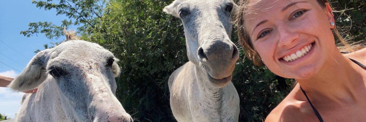 kelseycorso's profile banner image
