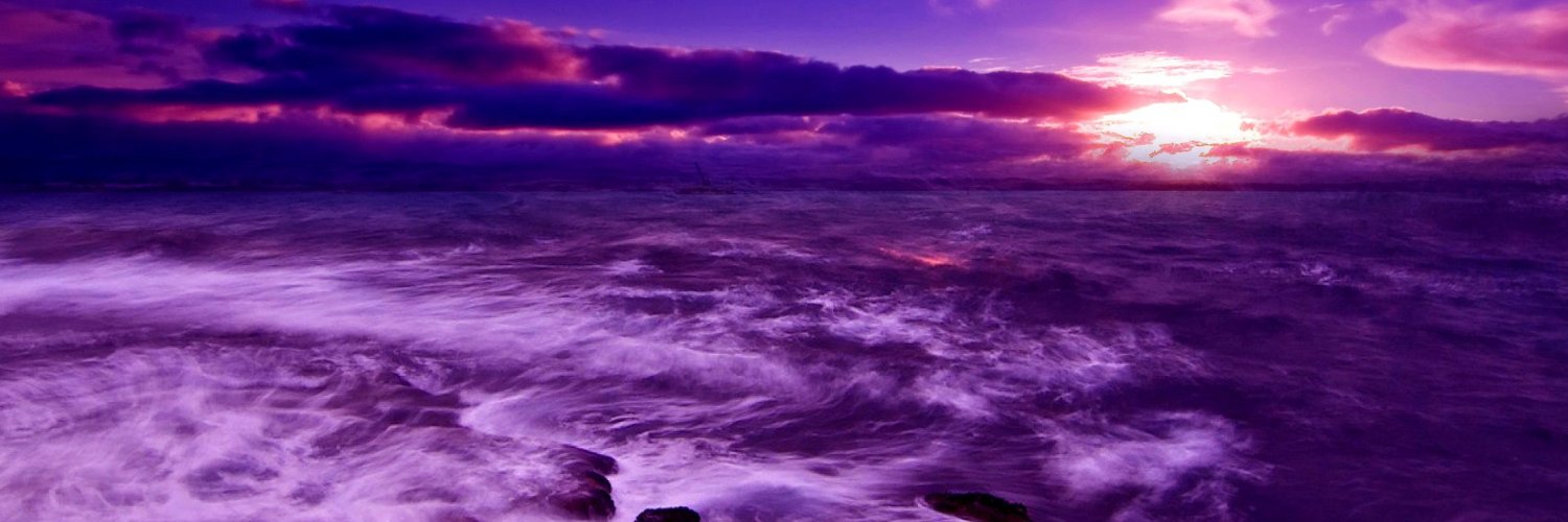 rosiebuggie's profile banner image