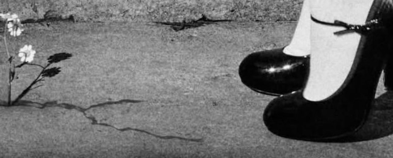itsrottenboy's profile banner image