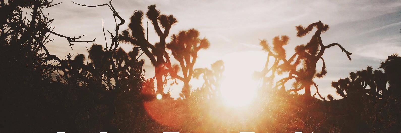 JoshuaTreeHomes's profile banner image