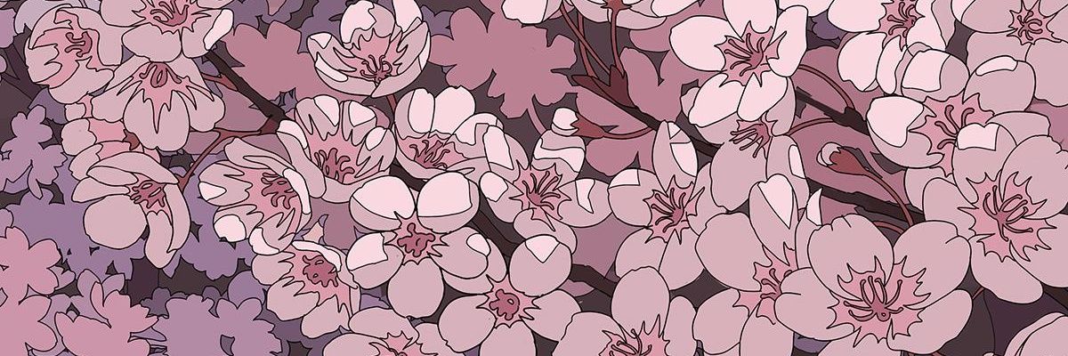 NiblBDO's profile banner image