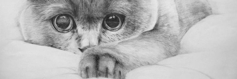 jacky_bum's profile banner image
