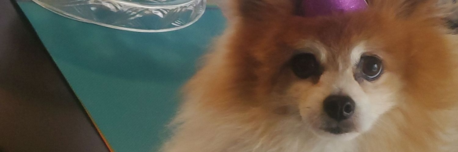 AnnyRue89's profile banner image