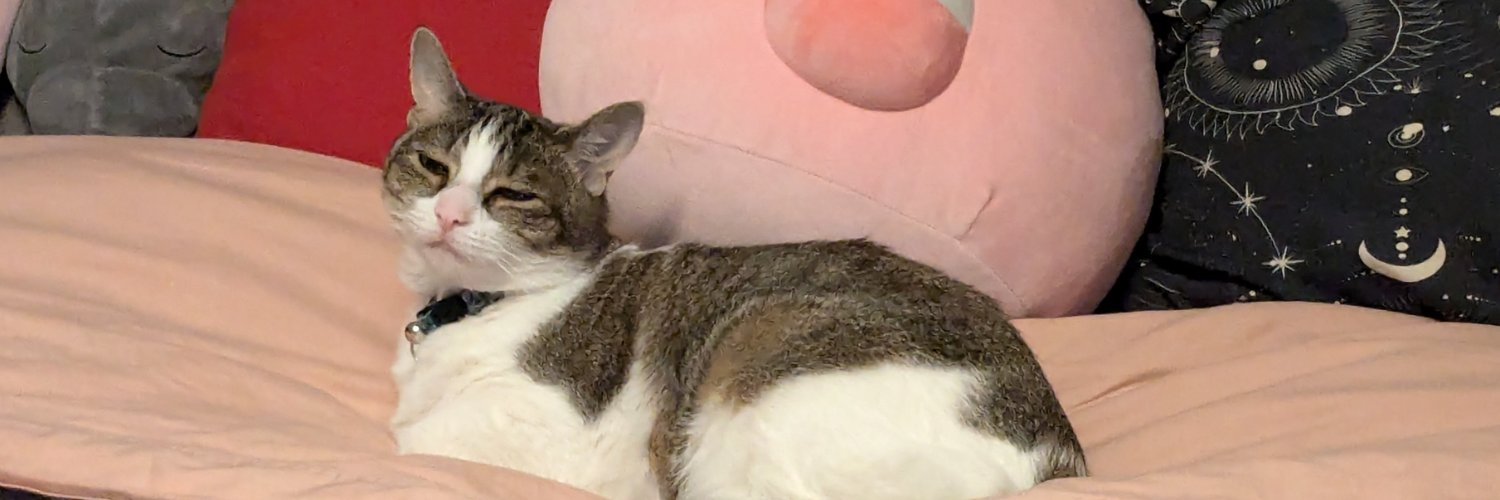 skinnedskeleton's profile banner image