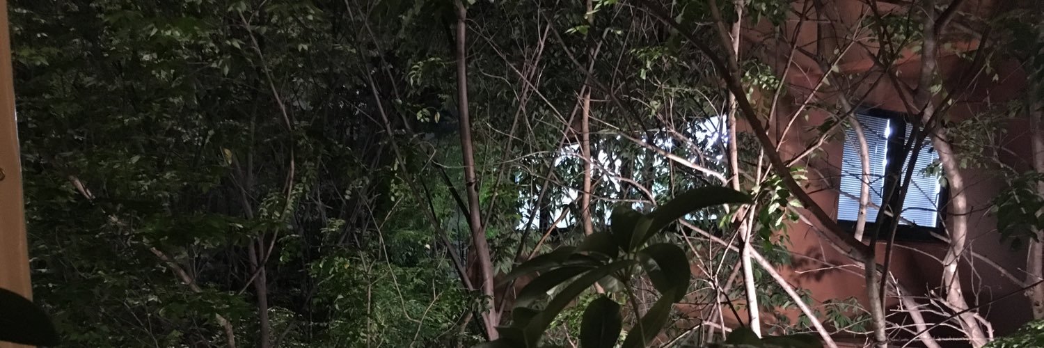 T0oEw's profile banner image