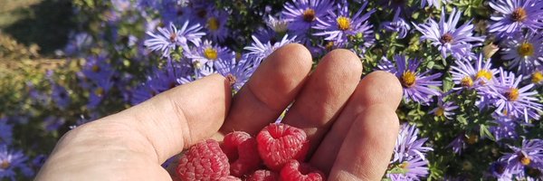 phillyorchards Profile Banner