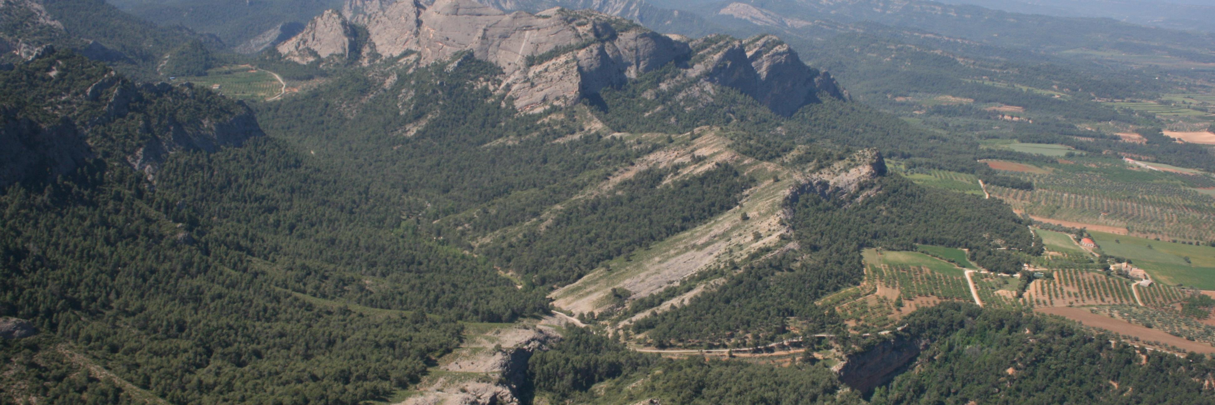 ebrerecerca's profile banner image
