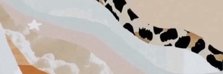 graceehaskins's profile banner image