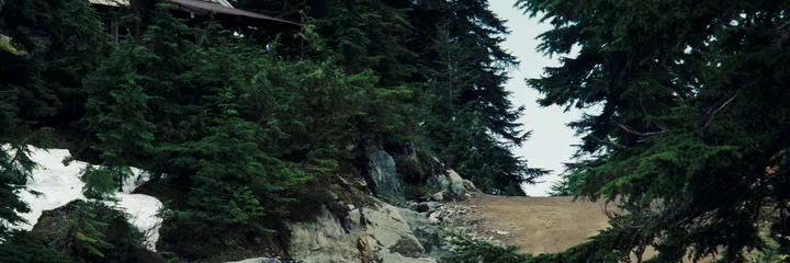 merenkov1978's profile banner image