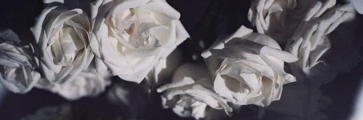 thom_iantomasi's profile banner image