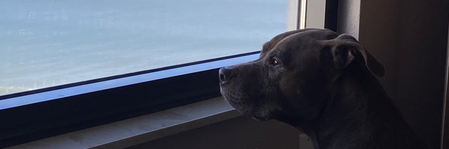 beavswit's profile banner image