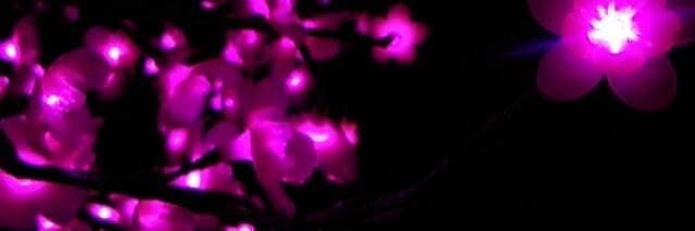 ice0652's profile banner image