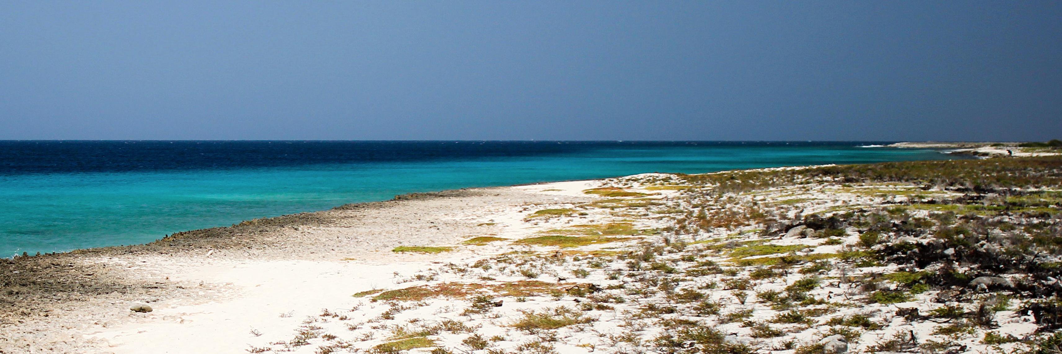 MeetCuracao's profile banner image