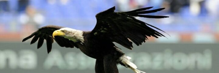 DeboraD79's profile banner image