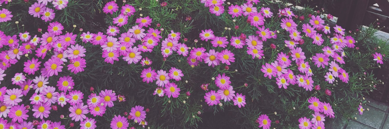 mi_mona_'s profile banner image