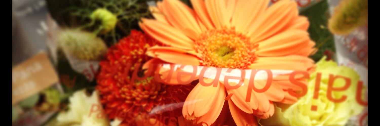 mukkucoco's profile banner image
