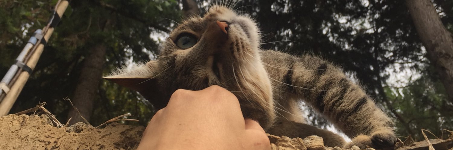 aky_ozge's profile banner image