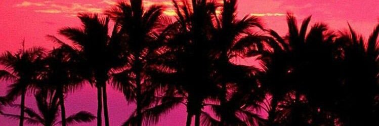 mikalynbabe's profile banner image