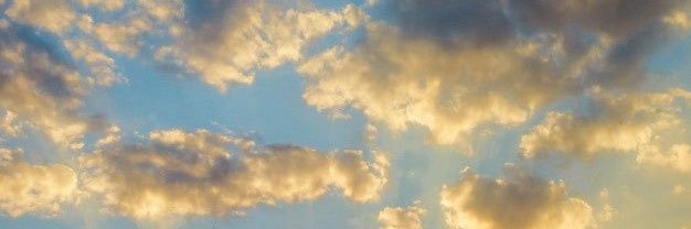 selenetd13's profile banner image