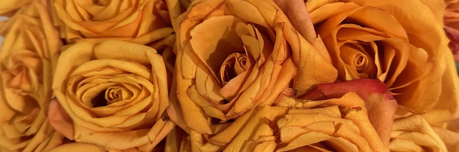 cillaraylene's profile banner image