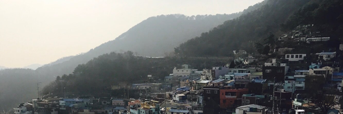 wlals95101_'s profile banner image