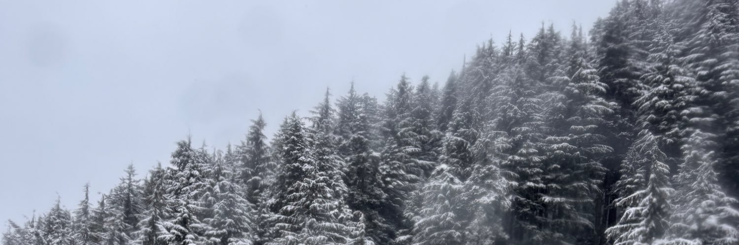 evilfootnote's profile banner image