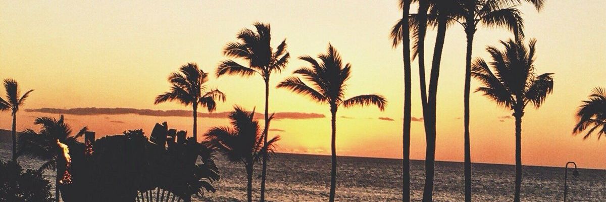 nuriaavello's profile banner image
