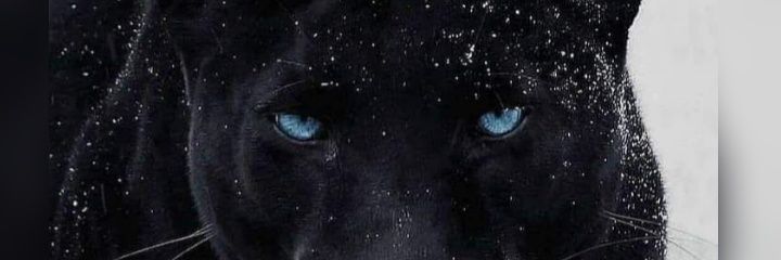 Lerato_R_M's profile banner image