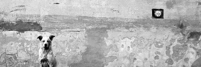 paulinalota's profile banner image