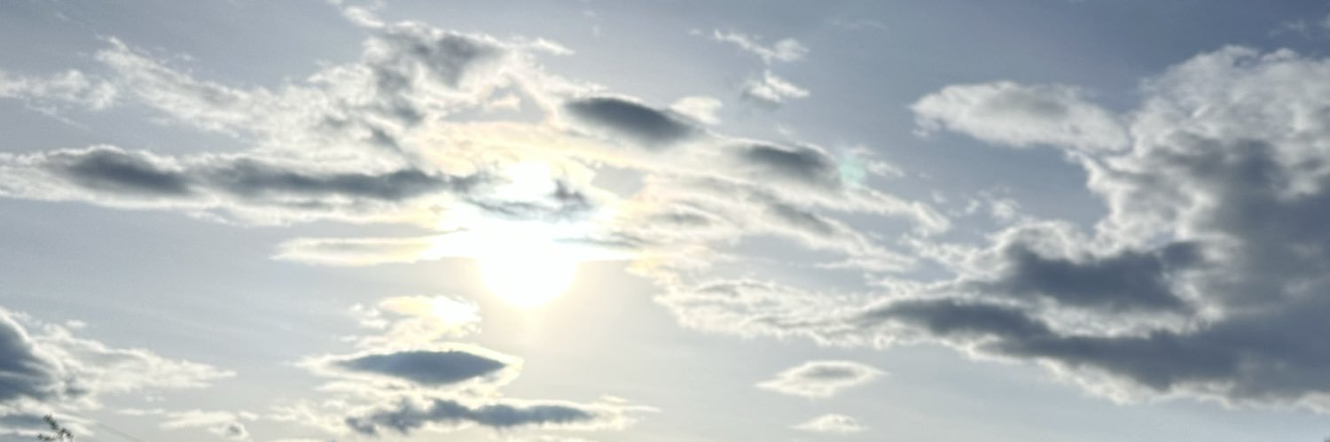 marieberrybb's profile banner image