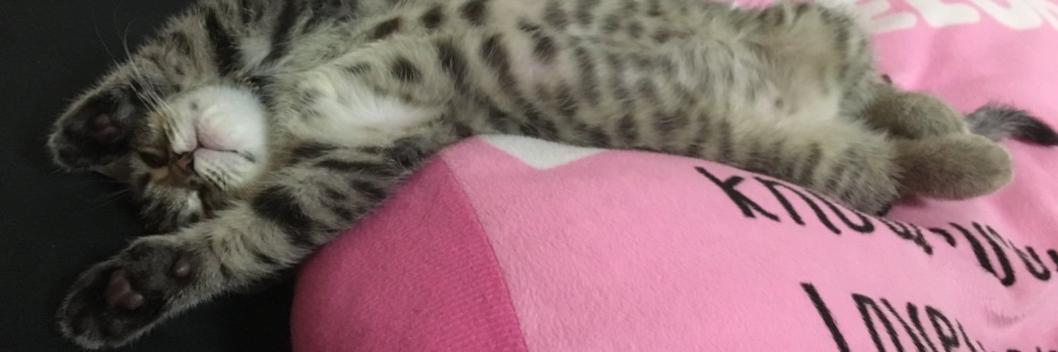 Cqrrot__'s profile banner image