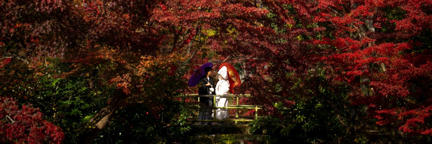 常時狂う兄@またの名をタイウォ banner