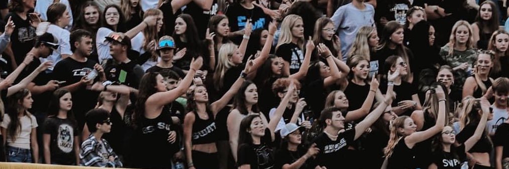 Rachel Rowdies banner