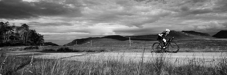 Naomi Shinkins banner