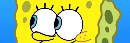 ZedBotNA's profile banner image