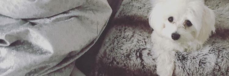 Micky_Minaj1023's profile banner image
