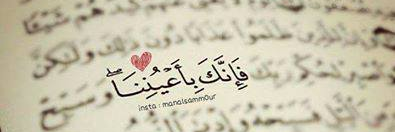nourven's profile banner image