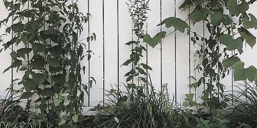 aaron. banner