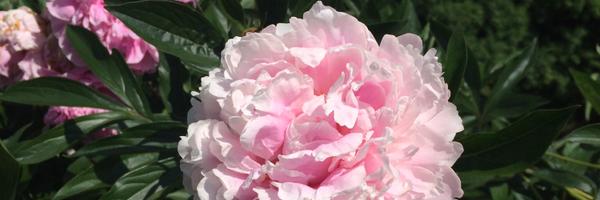 JessikaParry Profile Banner