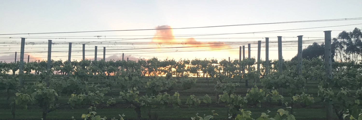 NickollsPerksJ's profile banner image