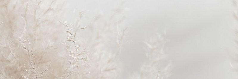 andreamouri1405's profile banner image