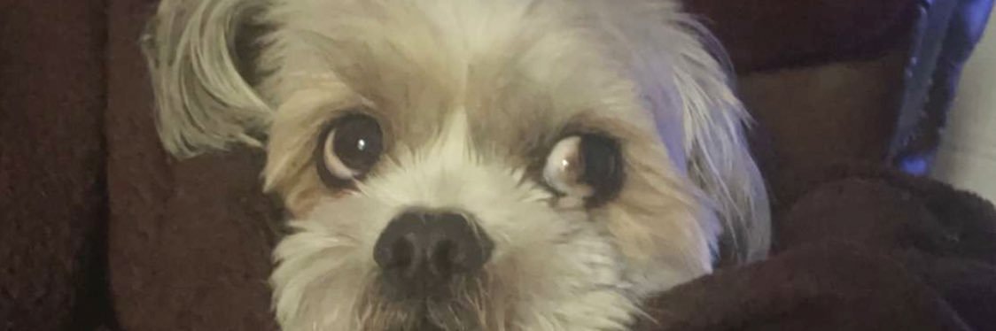 caitjanex's profile banner image