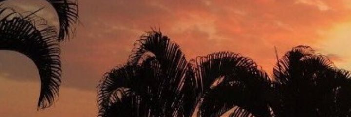 YuliNarbaez's profile banner image