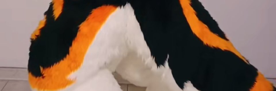 洛翊昕 banner