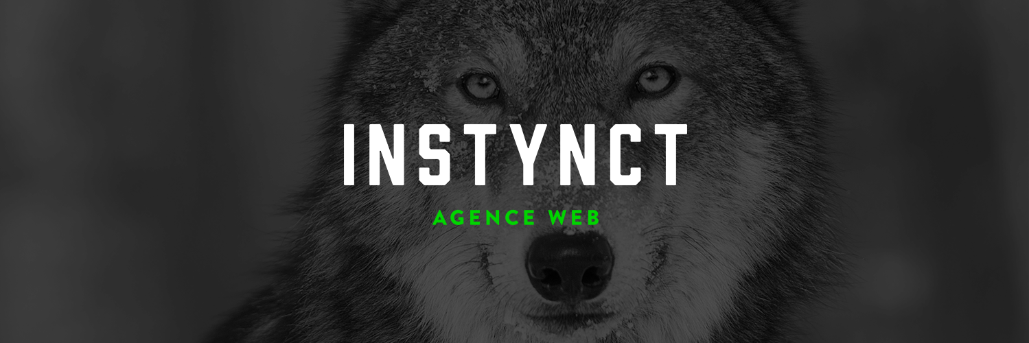 Instynct banner